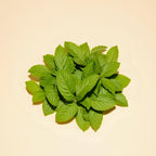Shampoing purifiant